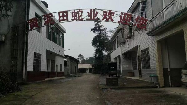 養蛇基地